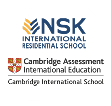 About NSK International